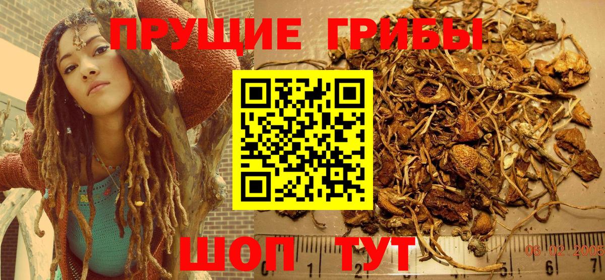 Кимовск  Псилоцибиновые грибы MAGIC MUSHROOMS  Псилоцибиновые грибы Psilocybe  Вход с VPN 